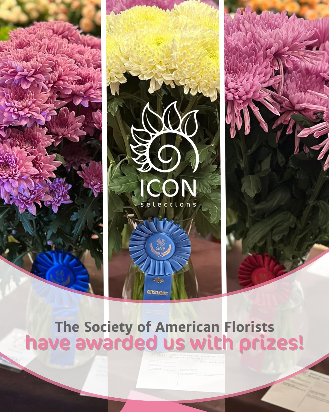 The Society of American Florists (SAF) 2023 awarder us 3 prices
